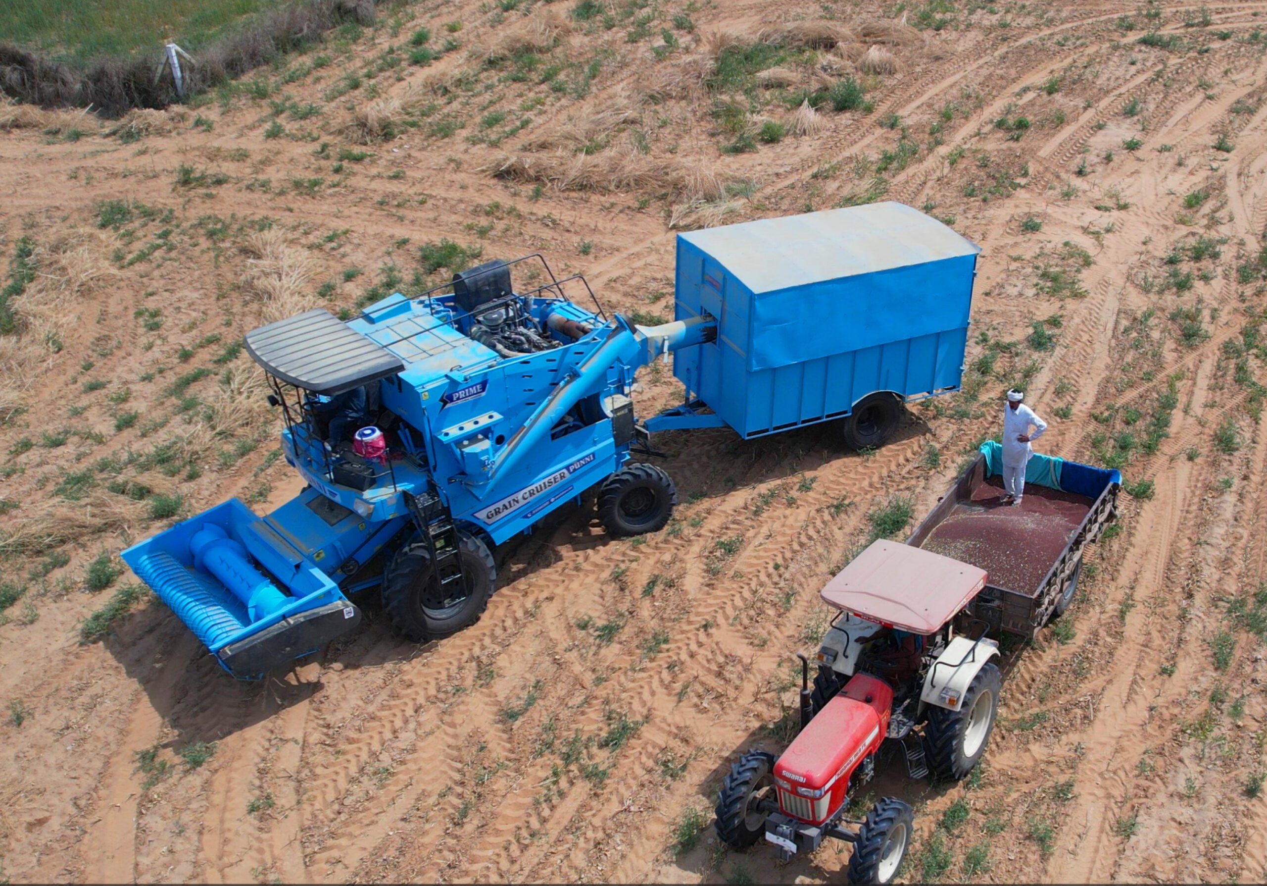 PUNNI combine harvester working with auto picker cutter