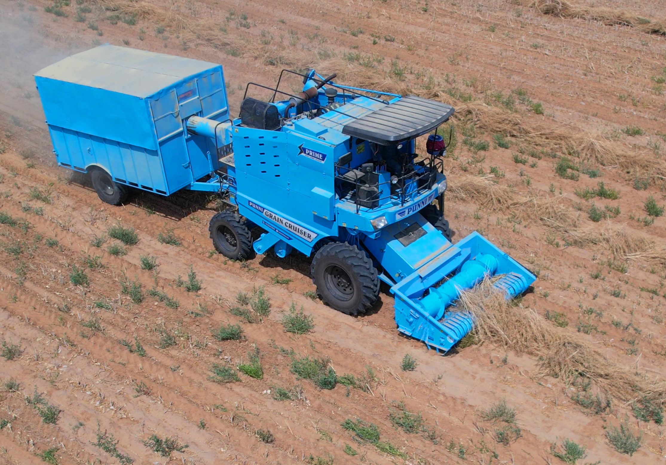Auto Picker Cutter picking dried crop for harvesting